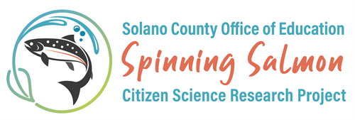 Solano County Office of Education Spinning Salmon Citizen Science Research Project