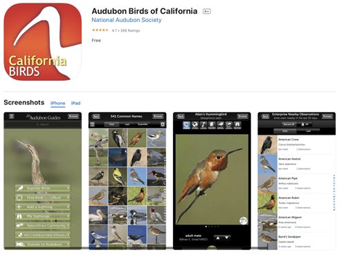 Audubon Birds of California