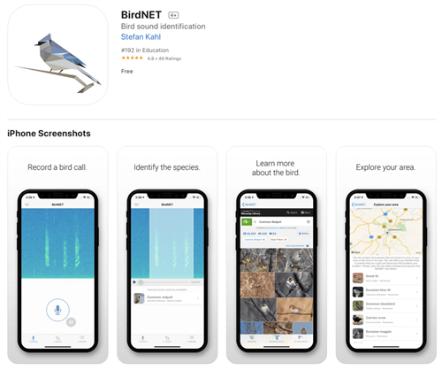 BirdNet App preview