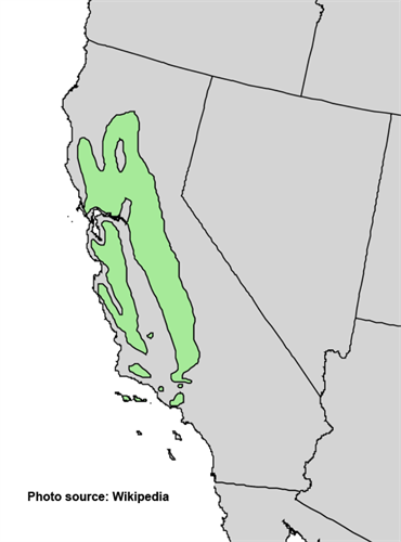 Range of valley oaks in Central California to western coast regions